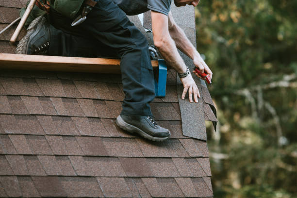 Roof Installation Near Me in Fyffe, AL